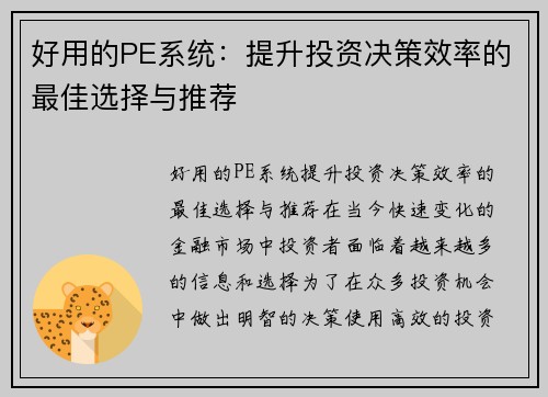 好用的PE系统:提升投资决策效率的最佳选择与推荐